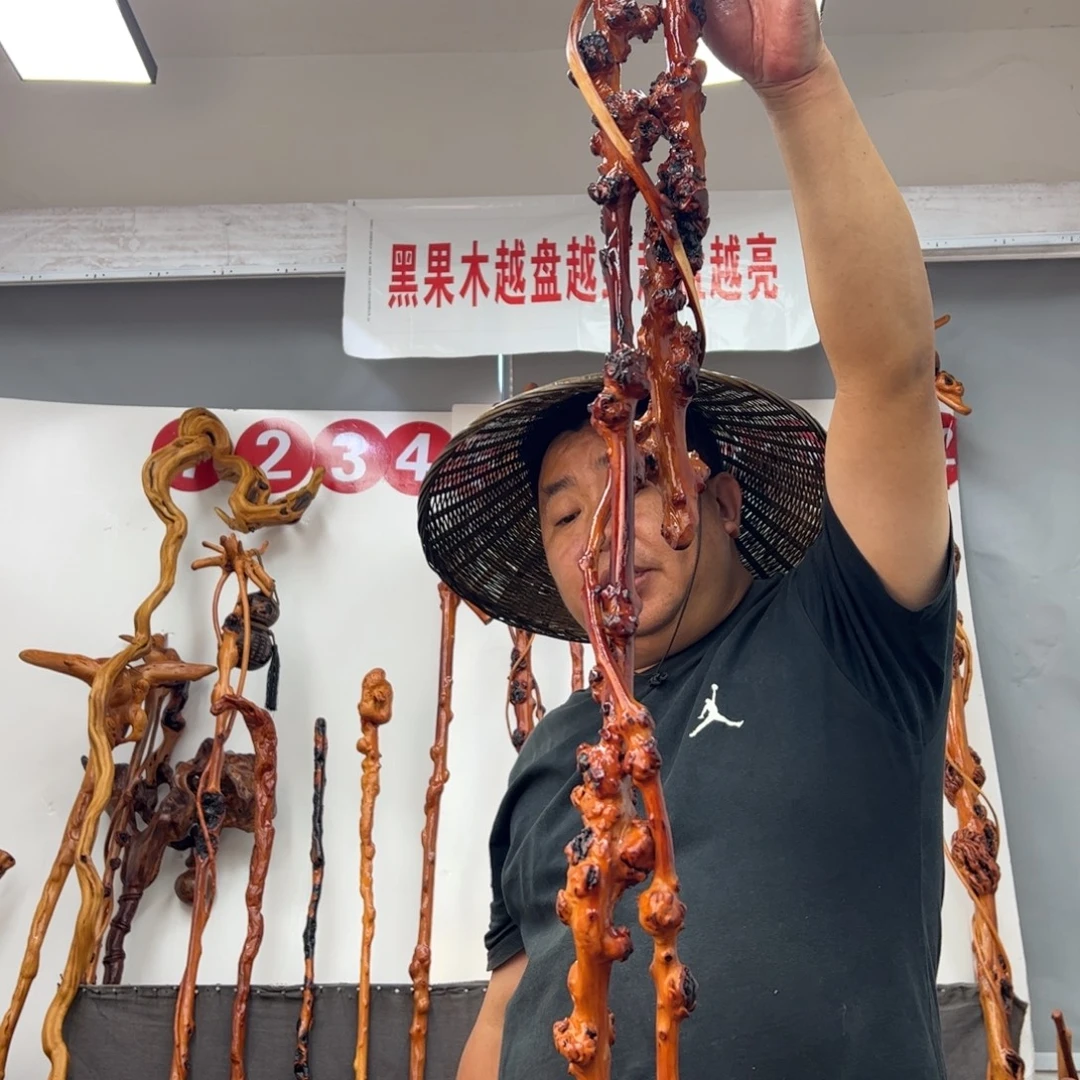 再***如黑果木其他黑果木597