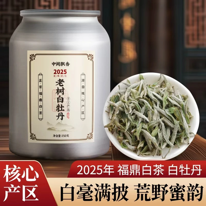 【老树白牡丹】2025年牡丹王正宗福鼎头春头采明前芽头多