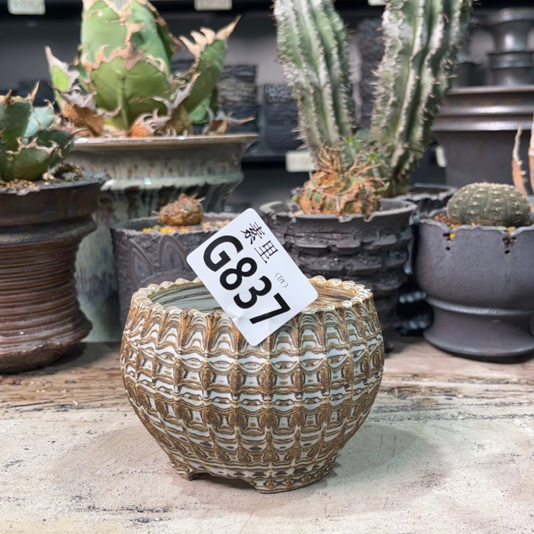 陶内口8.5高7景德镇