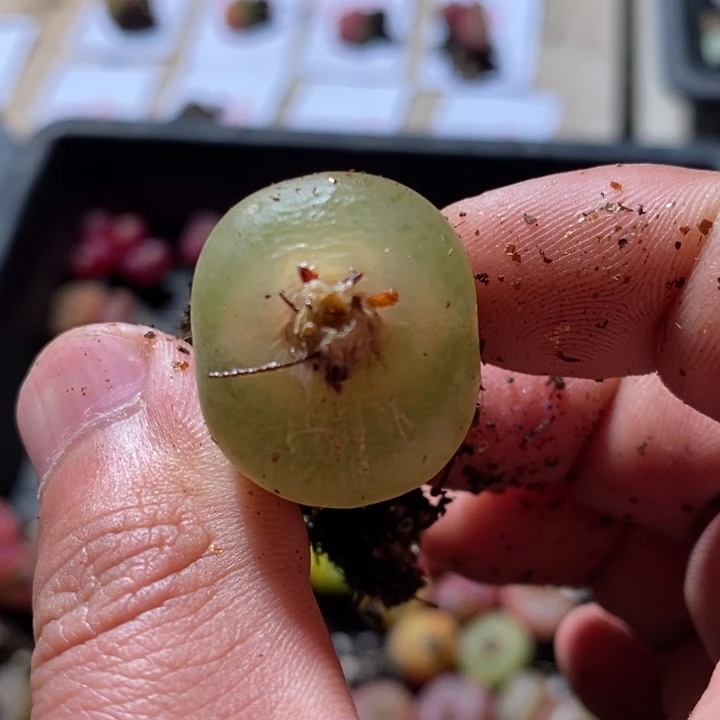 9*621213一个一个一个