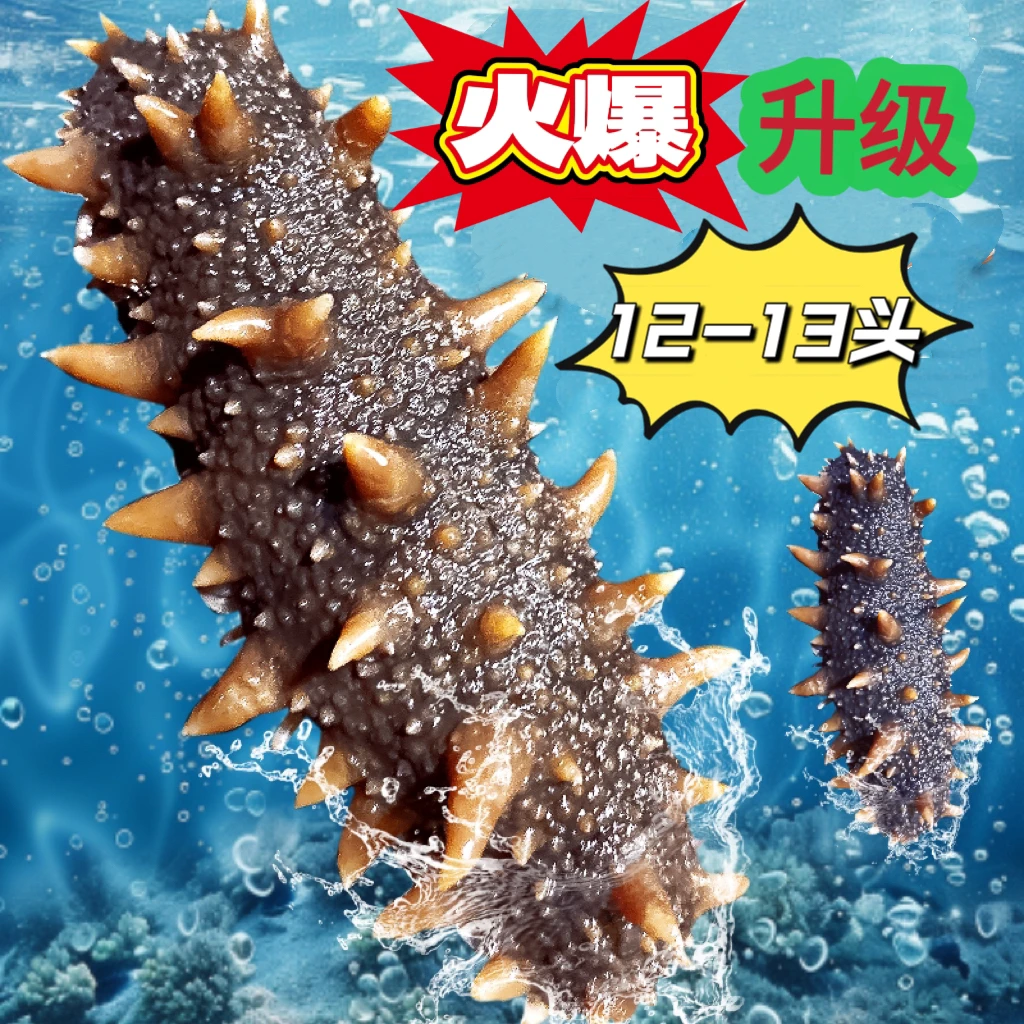 牧海客大连鲜蒸即食海参口感Q弹12-13头 3斤