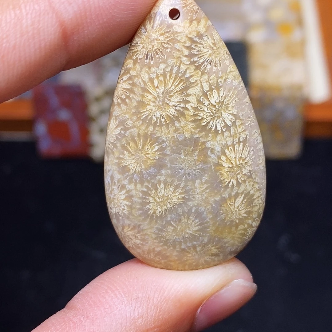 *****合金珊瑚玉硅化玉
