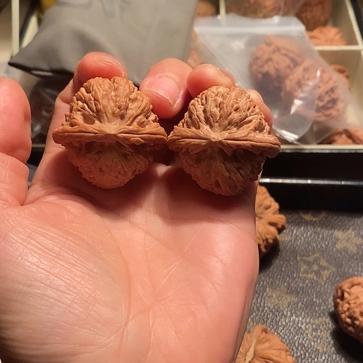 如***翼橄榄核手串/手链38球白