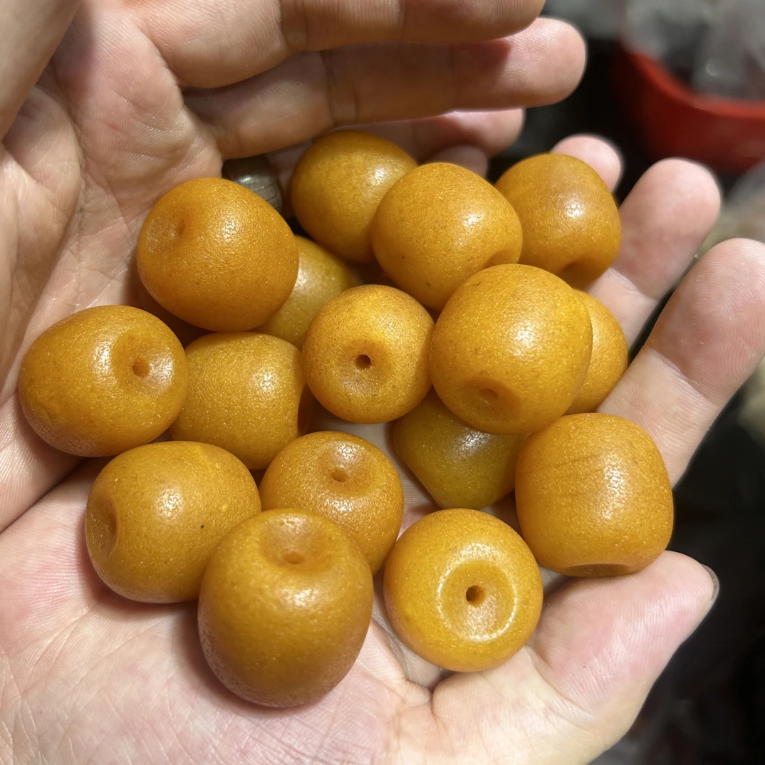 橘皮黄桶珠多样性发其一