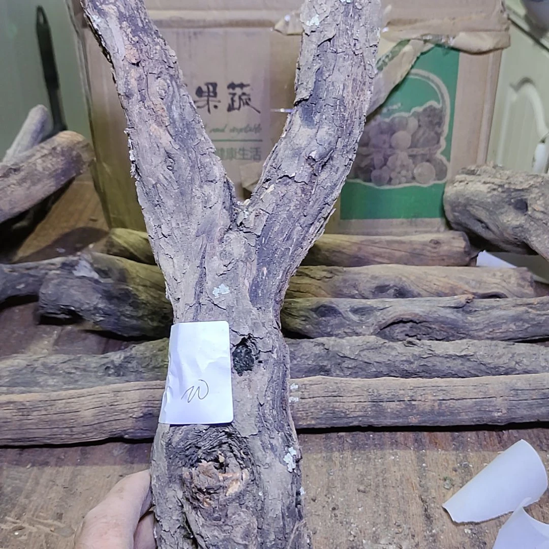 行***者火琉璃原杈，不保沉水慎拍！