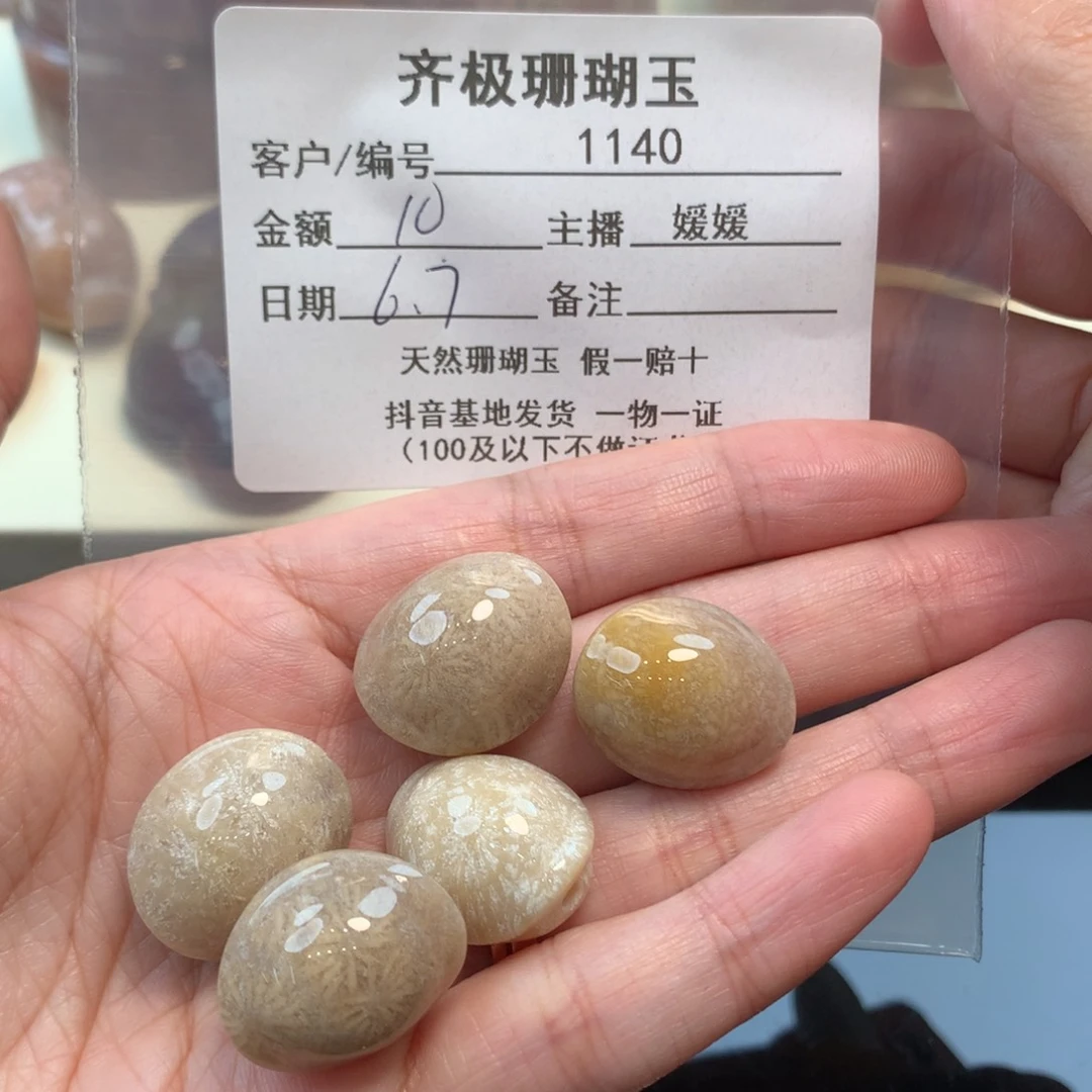 硅化珊瑚（珊瑚玉）未镶嵌颈饰小***笔