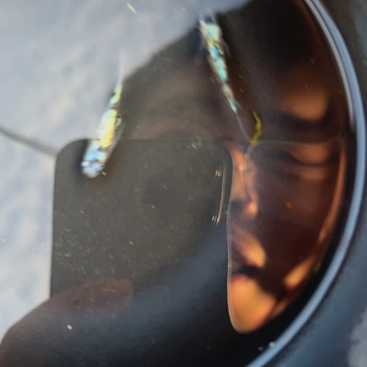 青鳉曜夜真长鰭1公1母