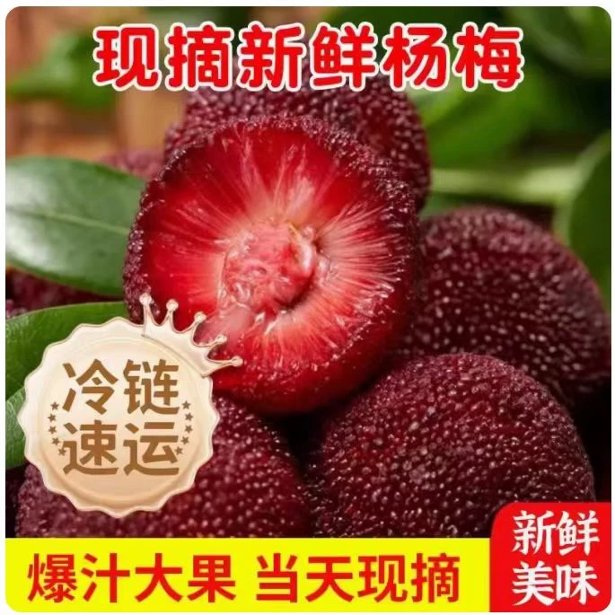 杨梅新鲜高山野生杨梅当季果杨梅鲜果泡酒孕妇口味酸甜一整箱水果