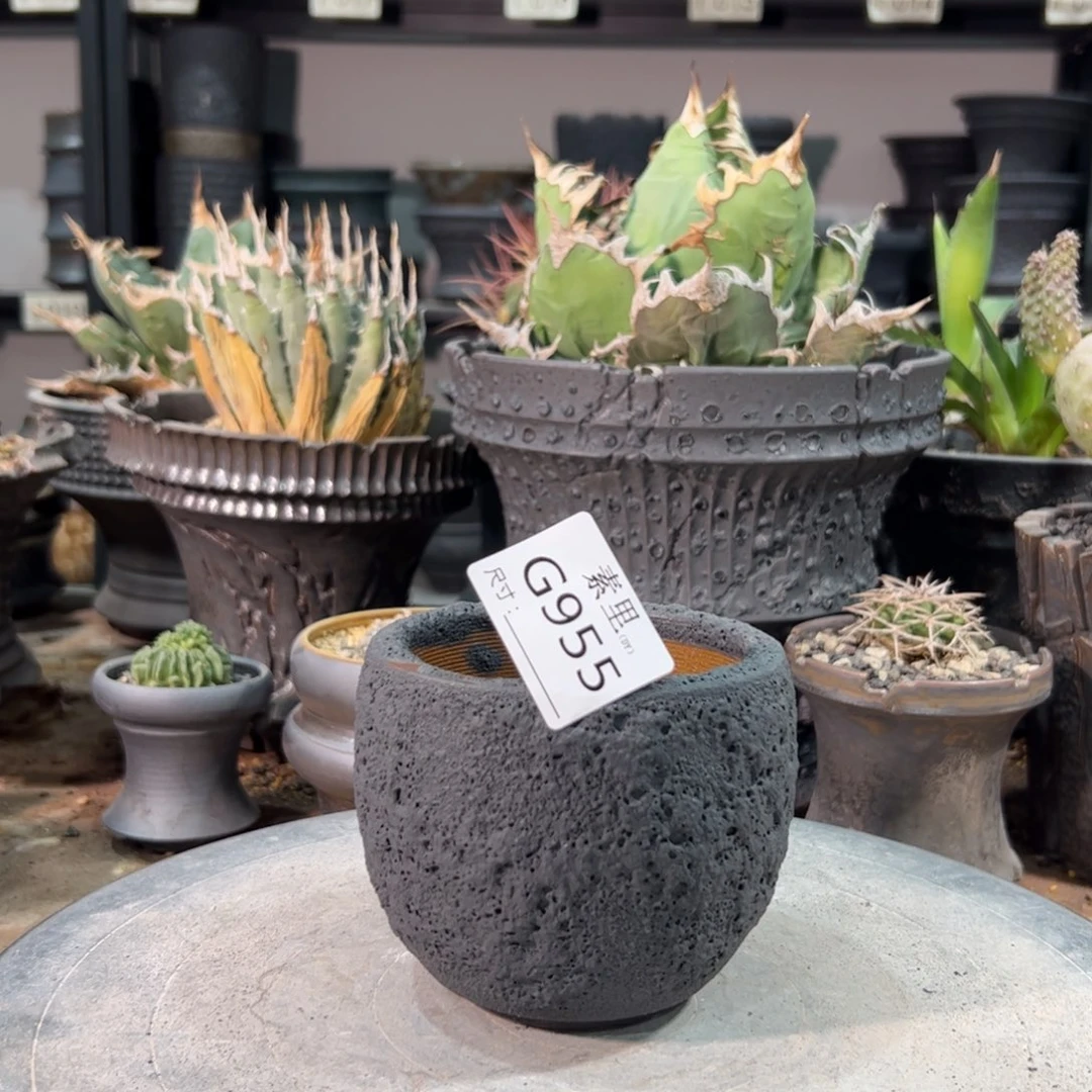 景德镇手工素里内口8高8.5