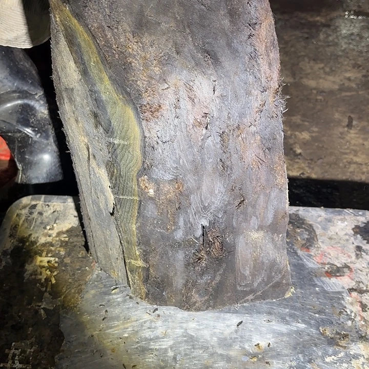 我***单金丝楠啊啊啊啊啊啊啊啊