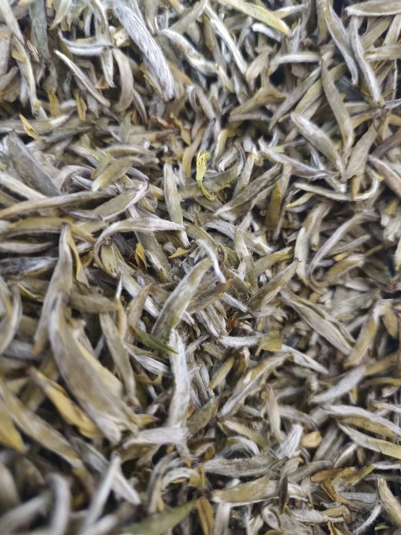 福建精针王柔甜香头春头采全芽茉莉花茶