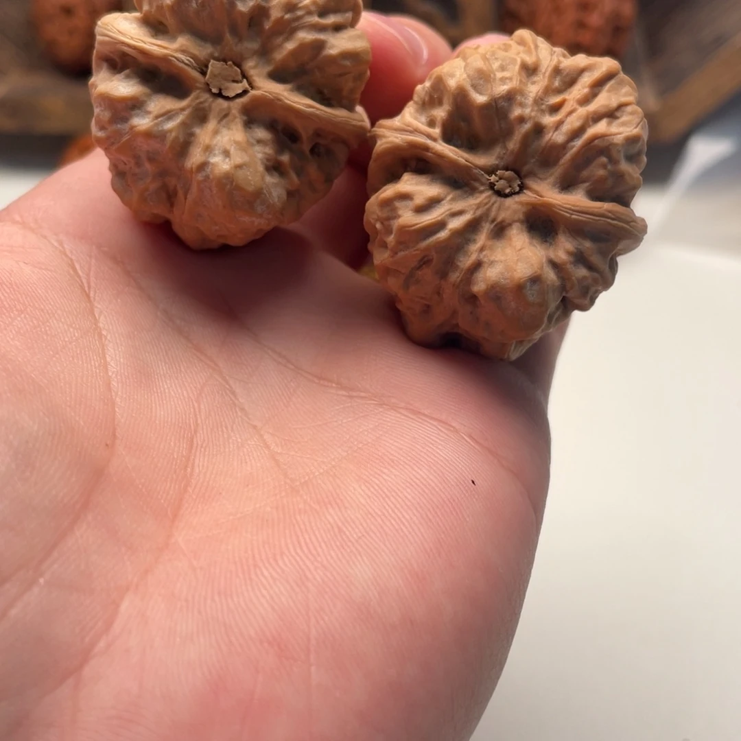 A***z大叶紫檀（黑酸枝木类）蛤蟆头文玩C34