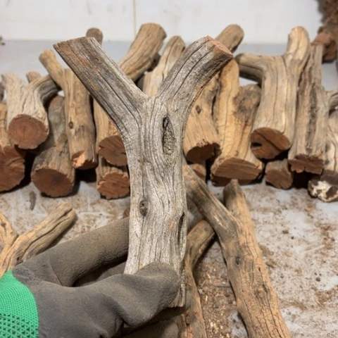 大果紫檀（缅甸花梨）杰**少