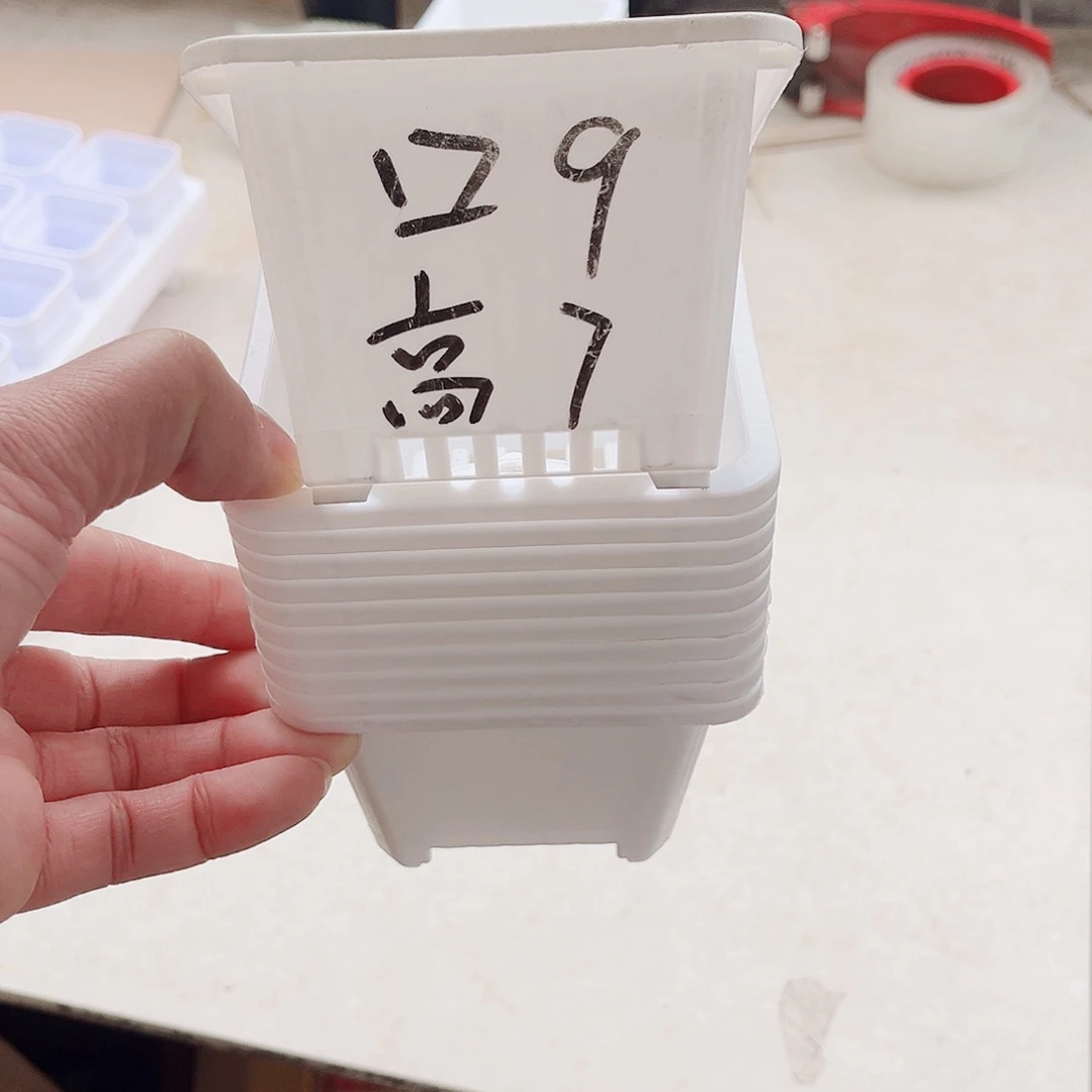 塑料傲*福利款9方白色盆10个无托