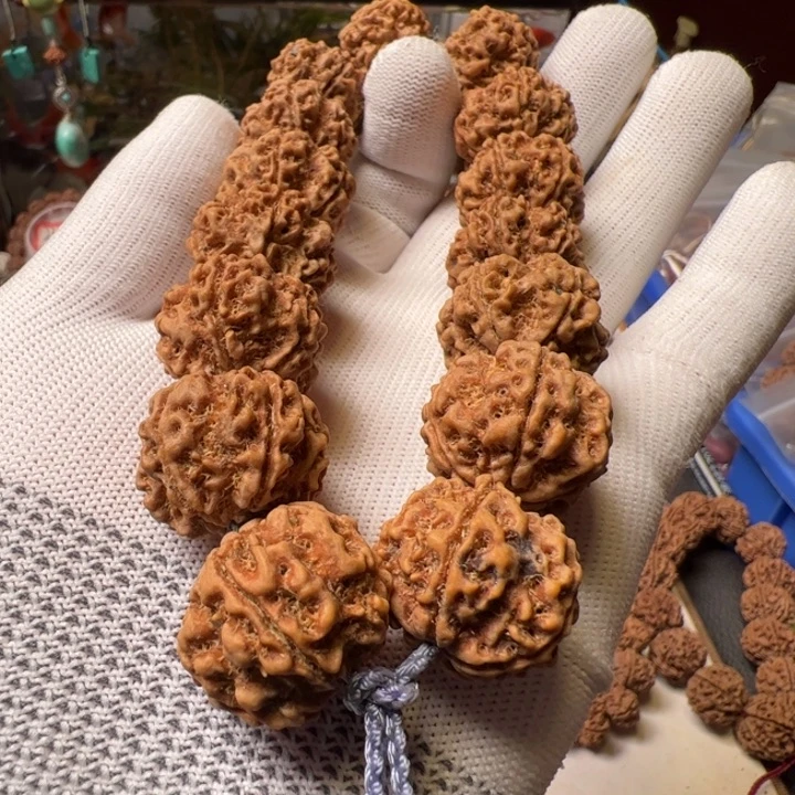金刚菩提手串23大➕姜黄皮粗筋