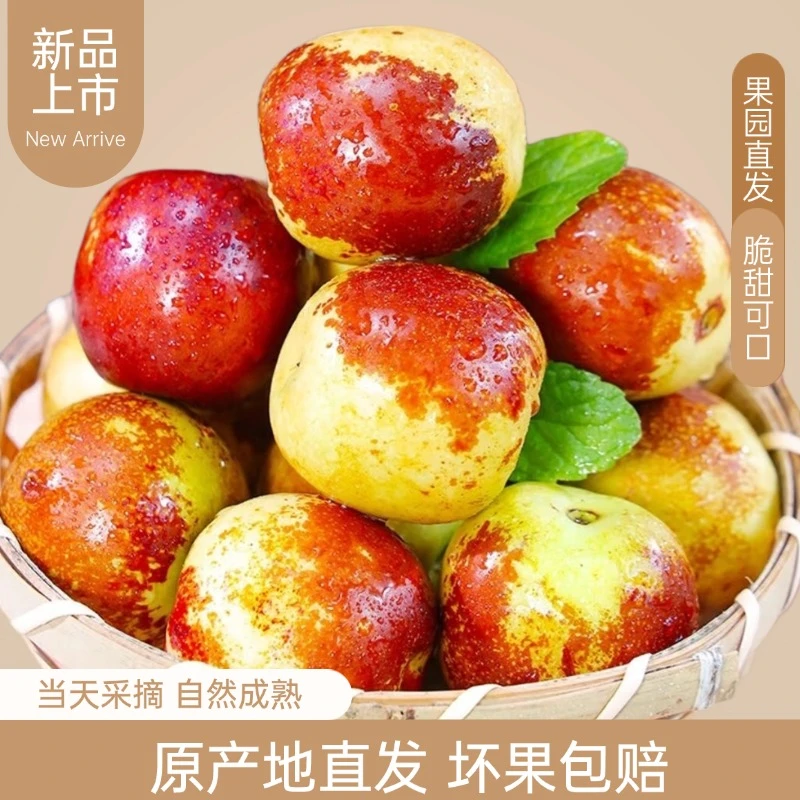 精品果】正宗沾化冬枣现摘现发产地直发中秋送礼应季水果整箱批发