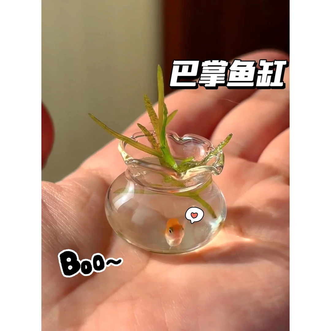 W精致小鱼缸造景塑料微缩鱼缸diy娃屋办公室桌面小鱼缸超迷你型