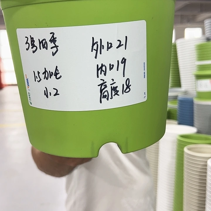 特价3四季口21高18果绿无托10只