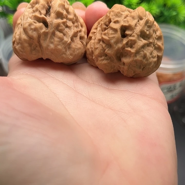 核桃新货蛤蟆头边40肚43