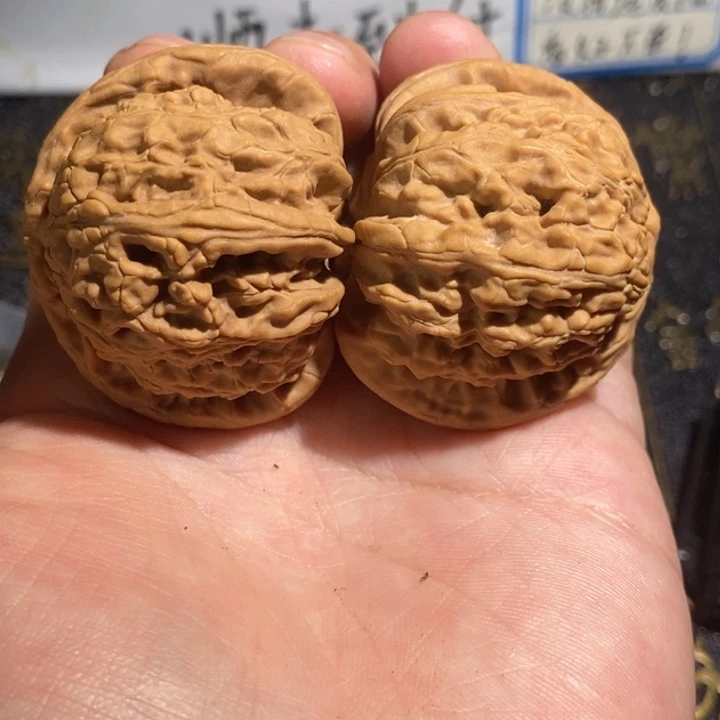 核桃手串/手链流*41尺白狮子有点黄