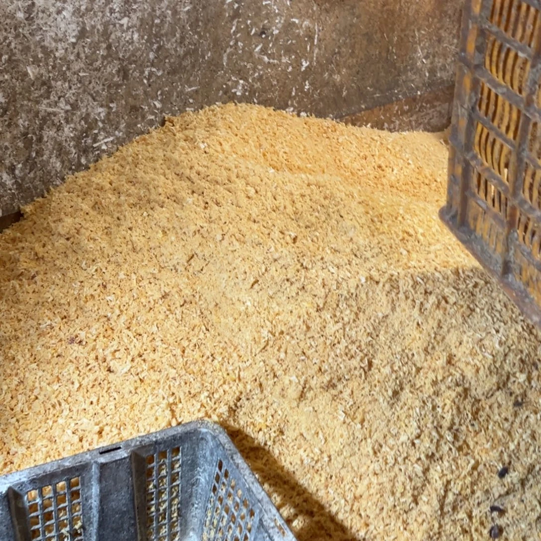 添***阳手串/手链松木（琥珀木）2斤粉末