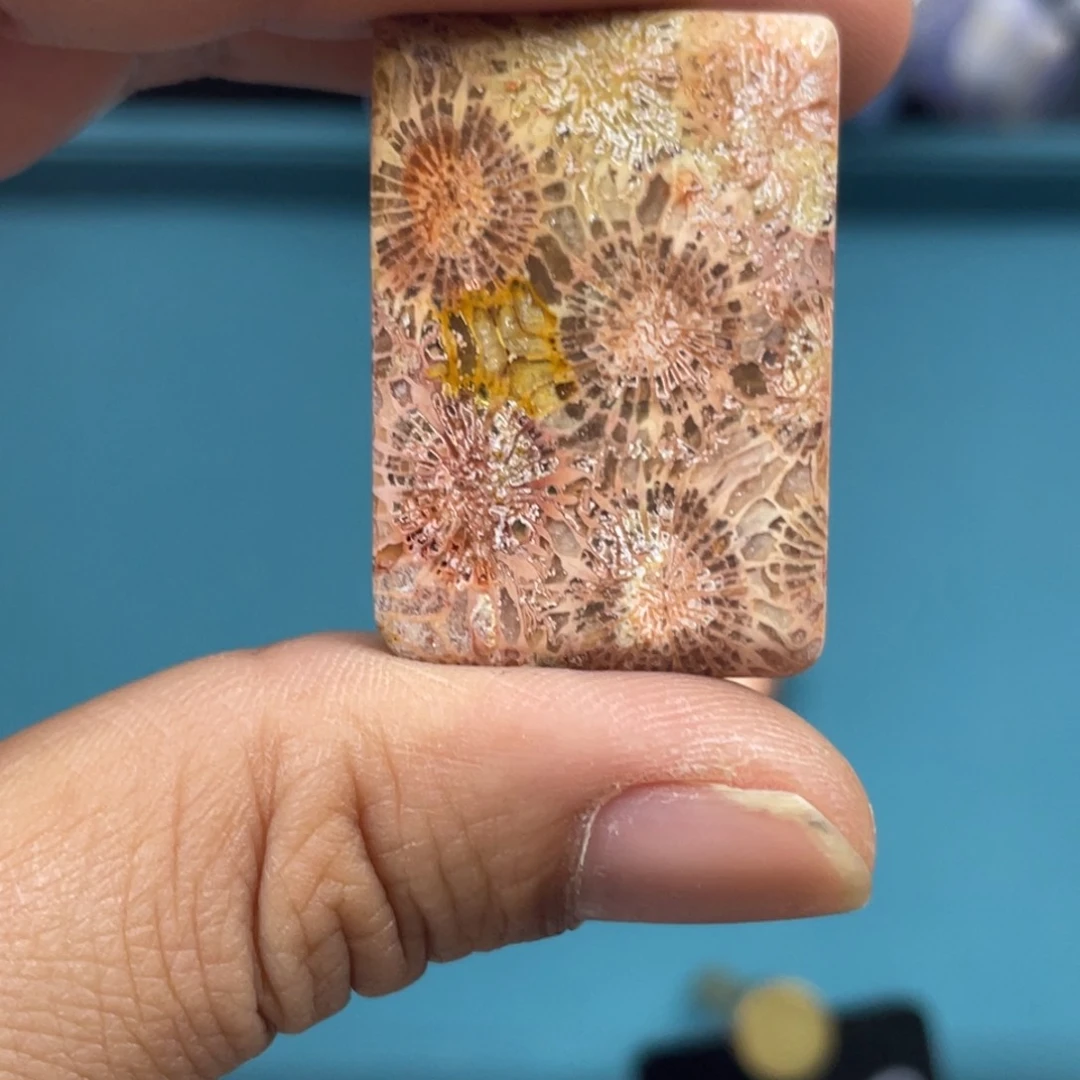 未镶嵌手镯硅化玉