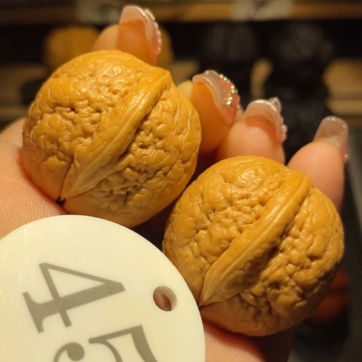 金龟子30尺寸核桃