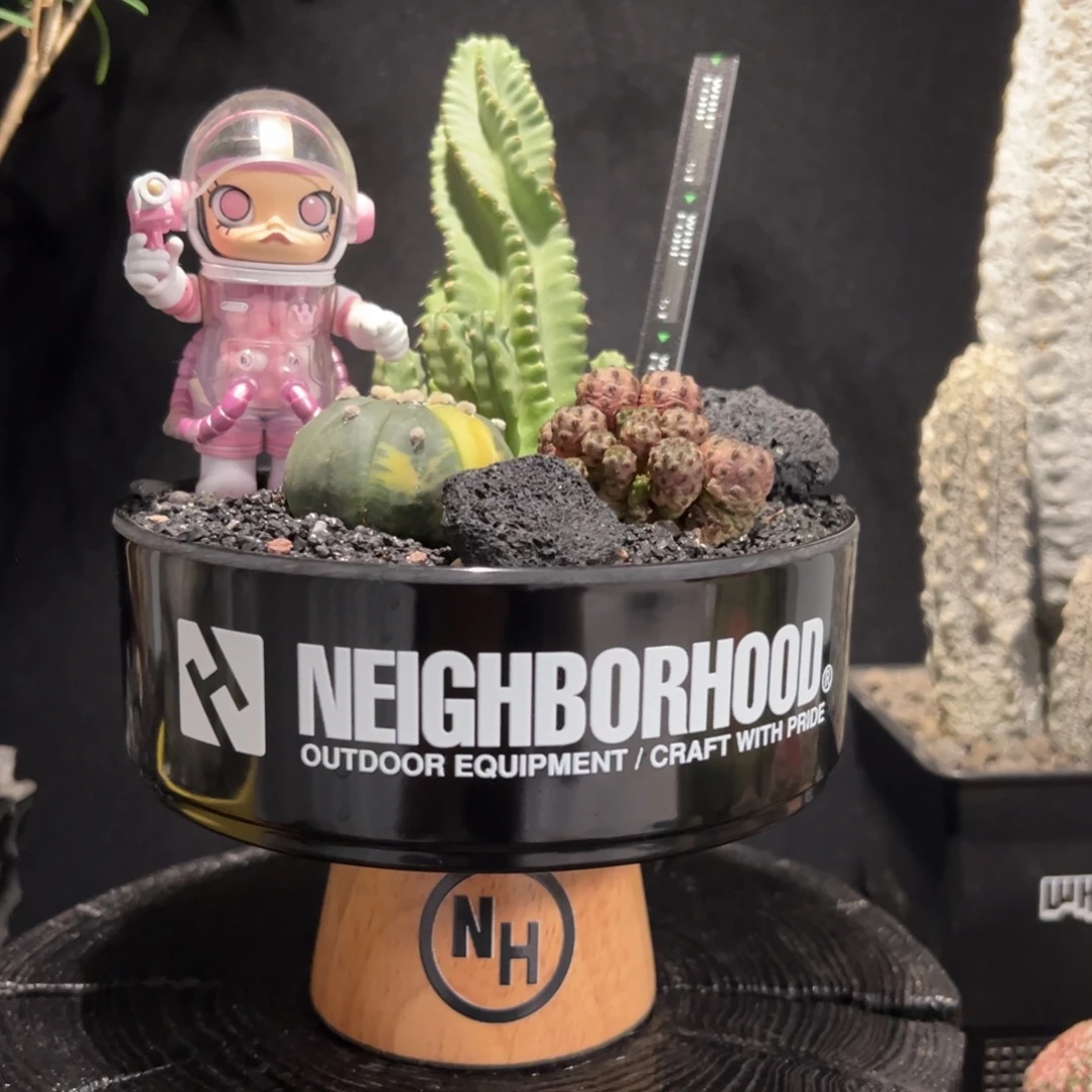 A18潮流植物微景观