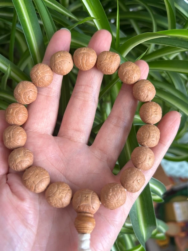 放漏仅一条   红皮麒麟眼14加手持