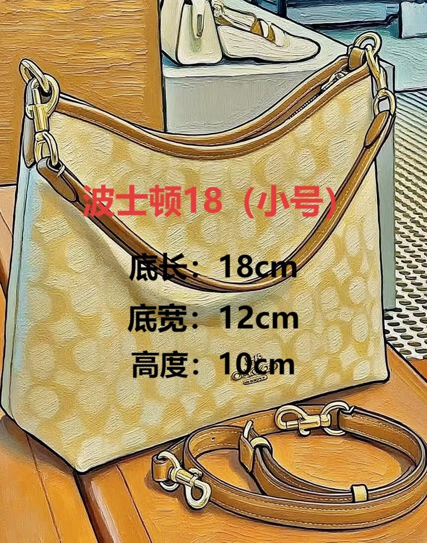 波士顿新款尺寸：18*10*12  时尚百搭高级手提包斜挎包枕头包