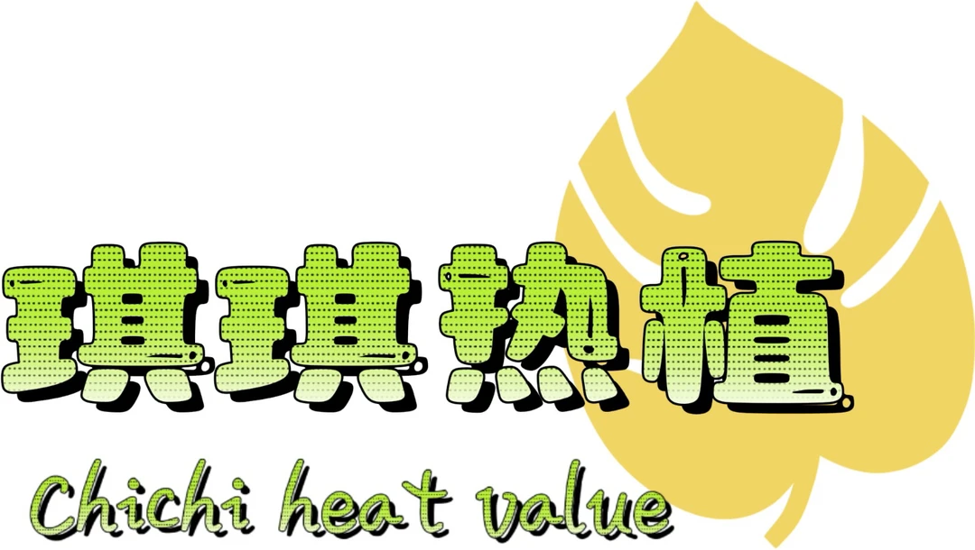 直播福袋 天南星科专用土 龟背竹专用