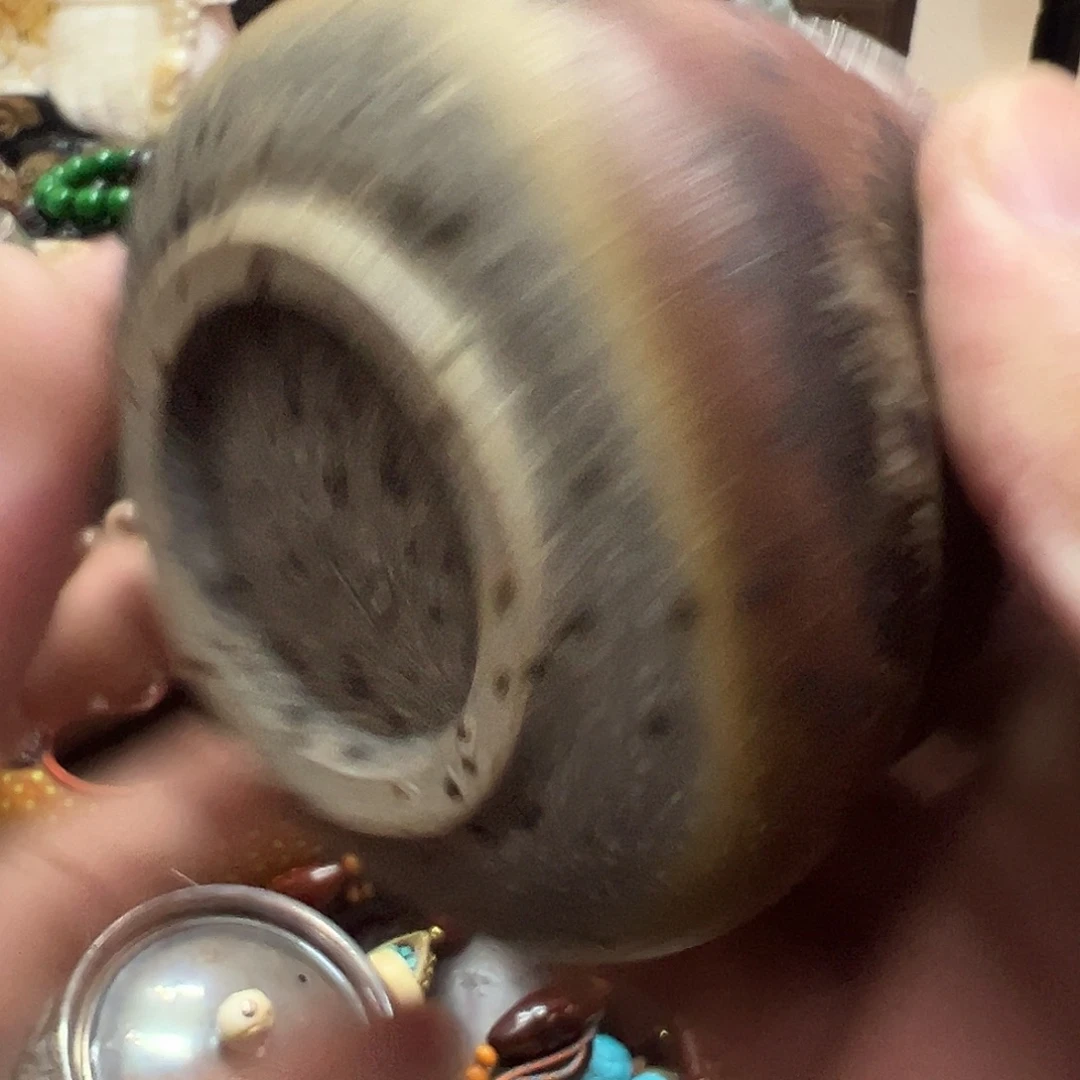 大***生瓷片瓷器瓷器瓷器