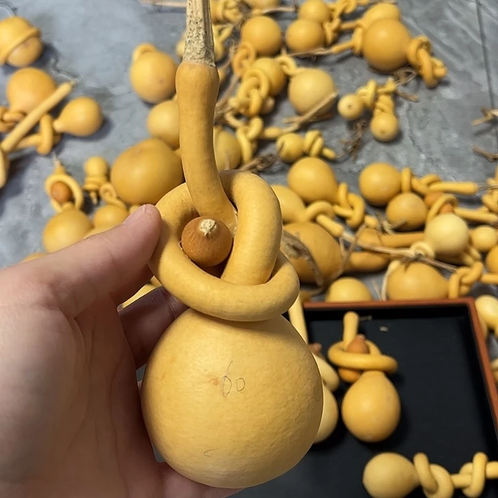 勇一把怀抱子葫芦