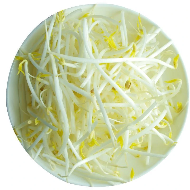 绿豆芽约250g