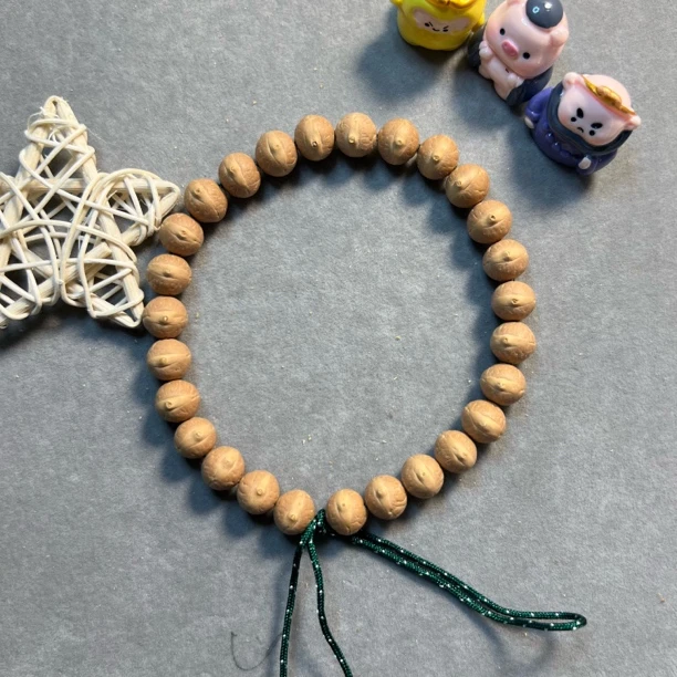 〖B10538〗25年10.5毫米尼泊尔凤眼菩提手串高品质原生态文玩手串