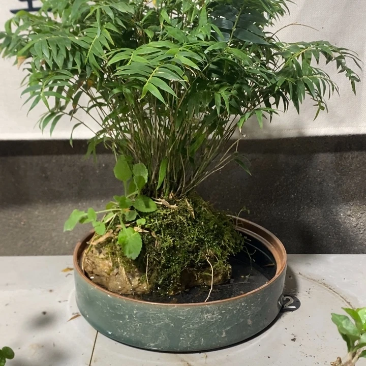 沐***朵无花朵退款拉黑拉126