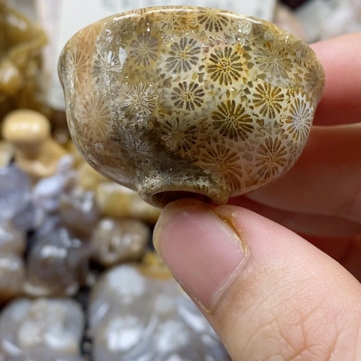 颈饰未镶嵌硅化珊瑚（珊瑚玉）