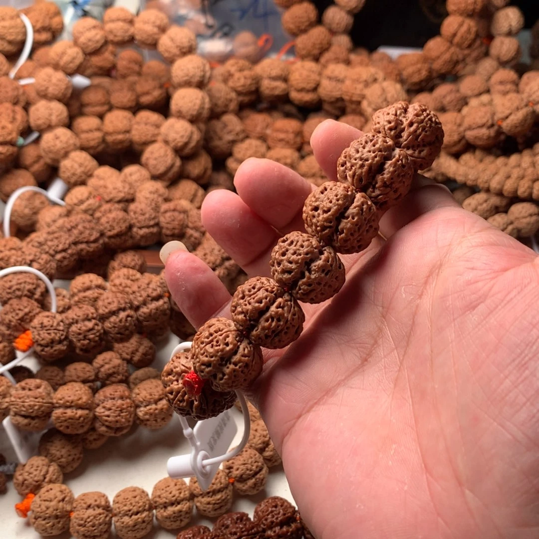 假***经手串金刚菩提22龙牙