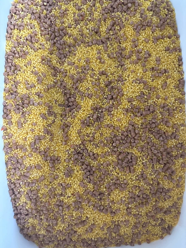 宠物鸟学吃鸟粮鹦鹉学吃粮500g