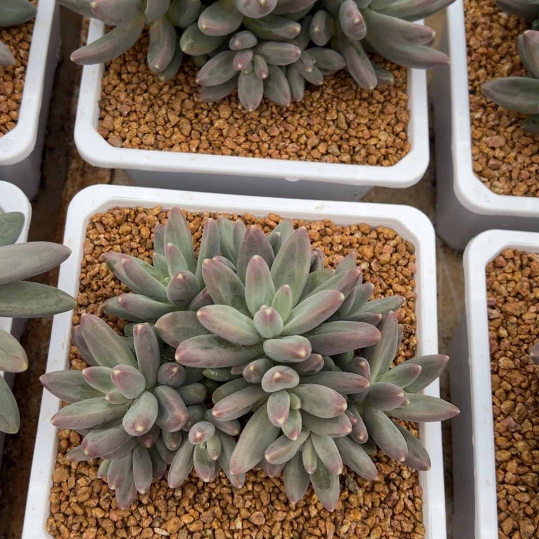 1118111111111111111111