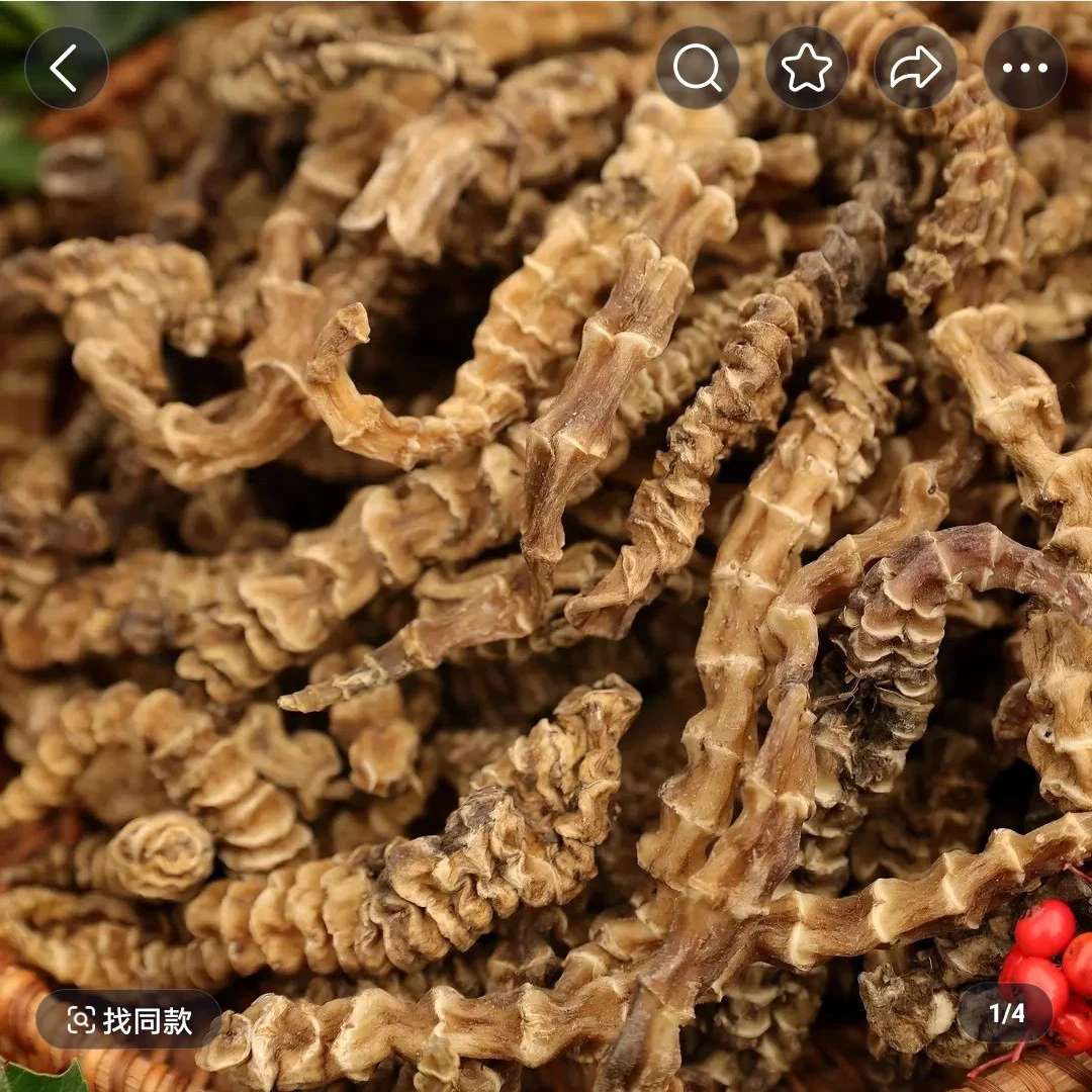 安波土特产～地龙深非香菇