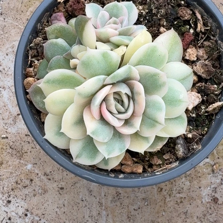 丢***我福袋福袋福袋福袋福袋