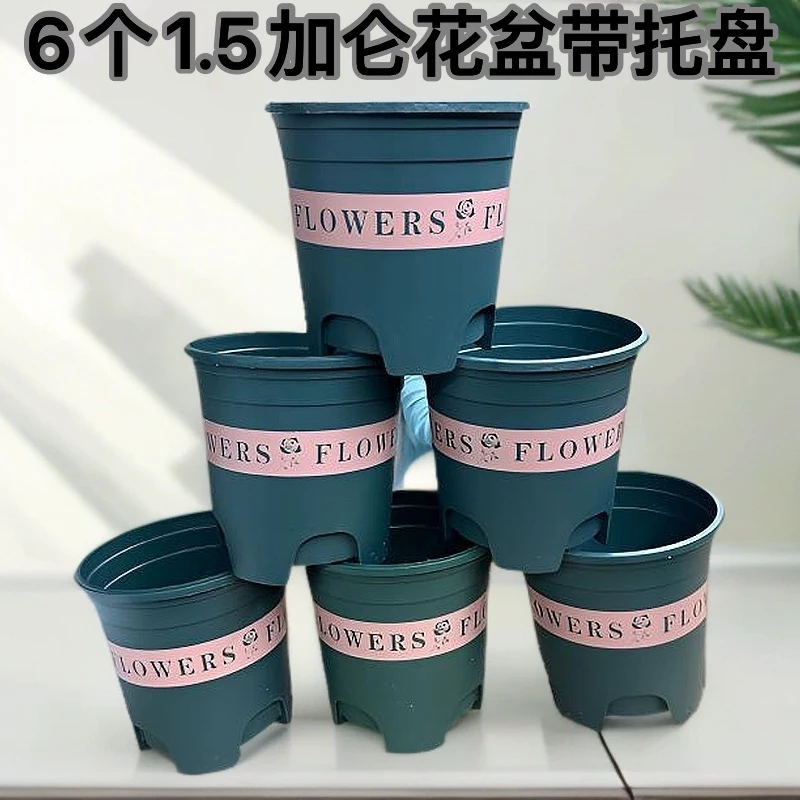 【6个带托盘】1.5加仑花盆【口径19.3高18.5左右】控根花盆