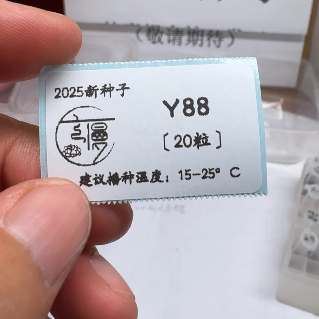 珍妮方向“y88”种子20粒不包出芽率