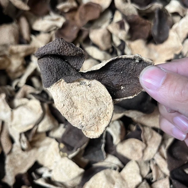 2017年东甲二红转大红圈枝 陈香药香薄荷凉微苦 新会陈皮礼盒