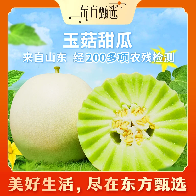 东方甄选自营玉菇甜瓜春季时令水果当季新鲜冰淇淋口感香瓜蜜瓜