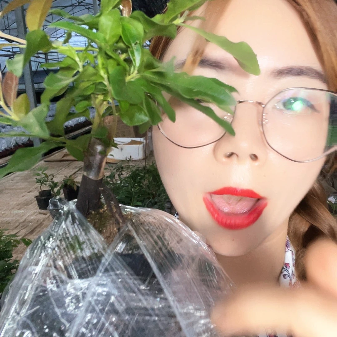 金弹子金弹子血钻03