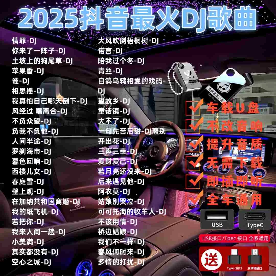 劲爆dj车载u盘2025最新款DJ抖音流行DJ歌曲中文热门dj劲爆嗨曲