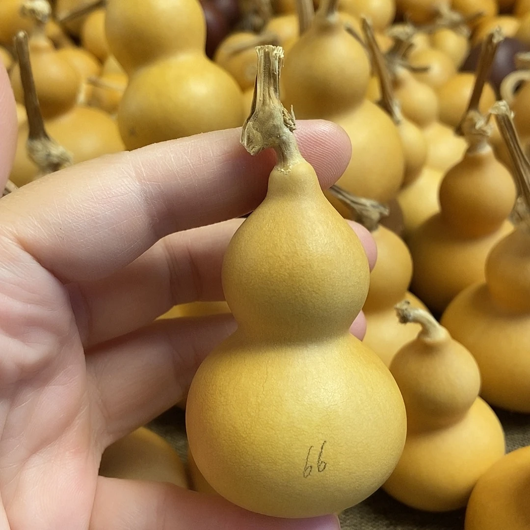 文玩葫芦 完美主义者 慎拍66