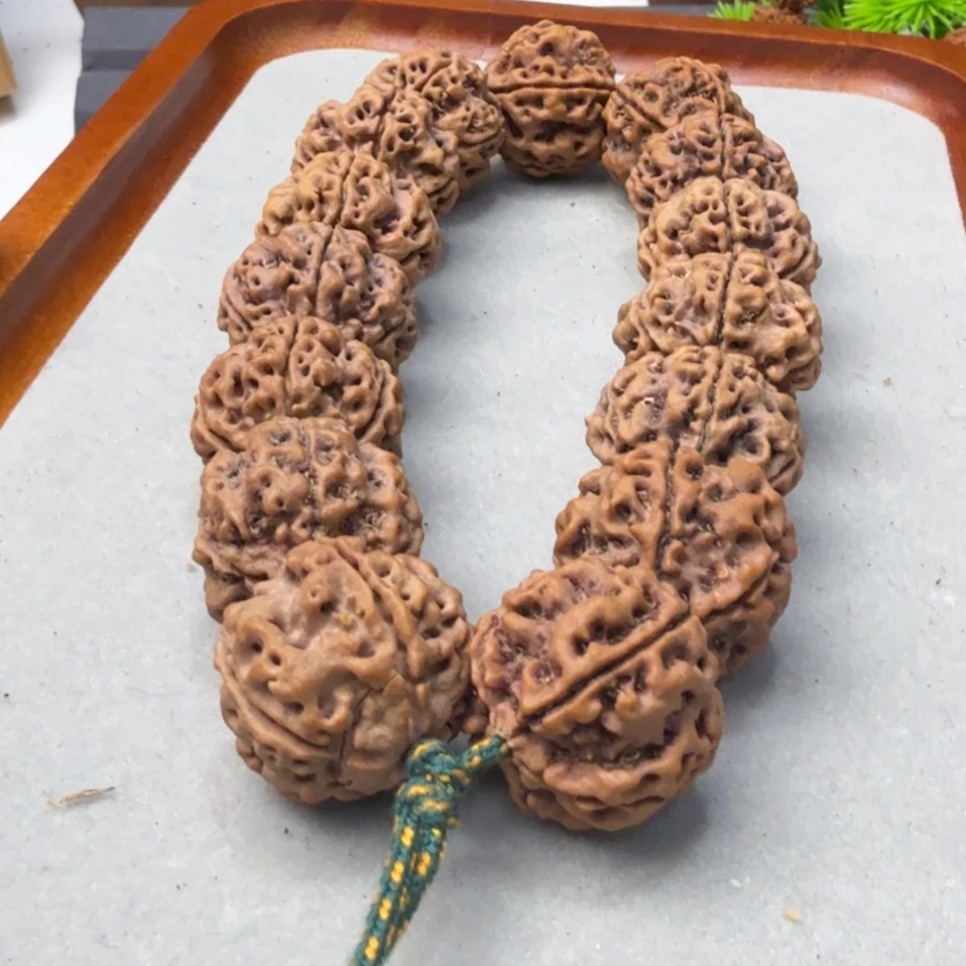 吊坠金刚菩提粗筋蜂窝双龙铁籽黄皮金蟾纹